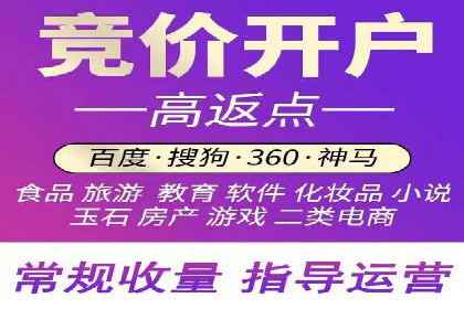 百度推广费用投入与品牌知名度提升的案例分析